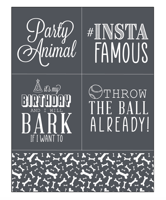 Party Animal - Mesh Stencil 8.5x11