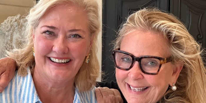 Tara Shaw's Guide to Antique Interiors