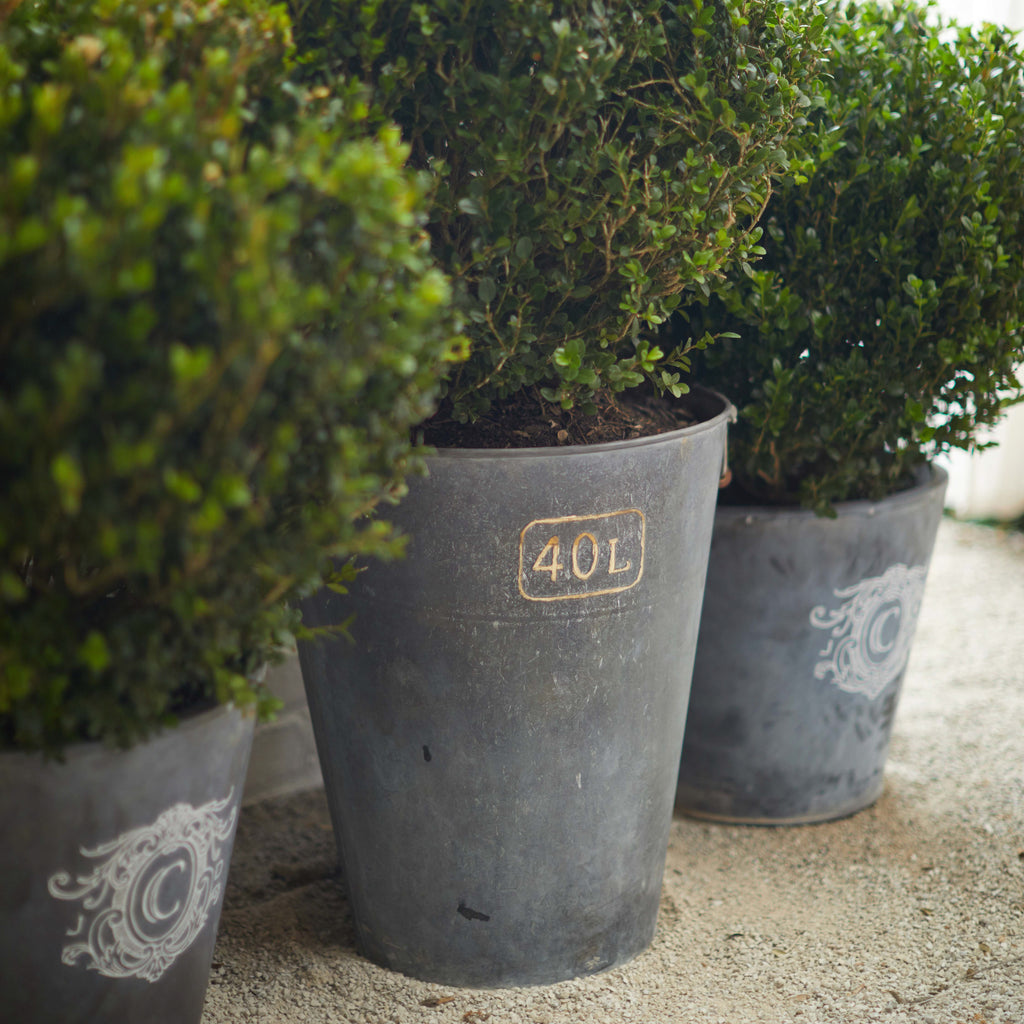 Make Your Own Beautiful Zinc Bucket for Your Garden