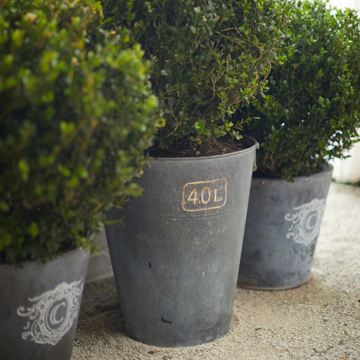 Make Your Own Beautiful Zinc Bucket for Your Garden