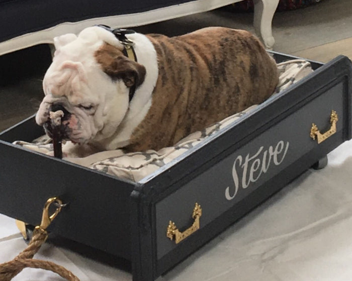 DIY Dog Bed Drawer for Cat Greenleaf Show