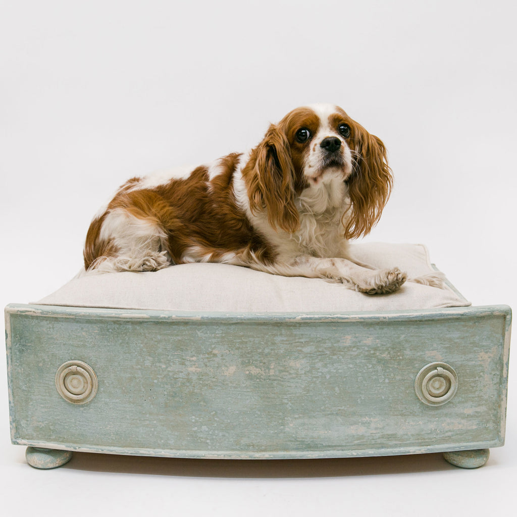 A DIY Dog Bed for Your Furry Friend