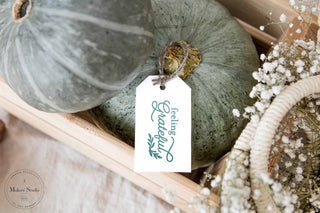 All Reusable Mesh Stencils