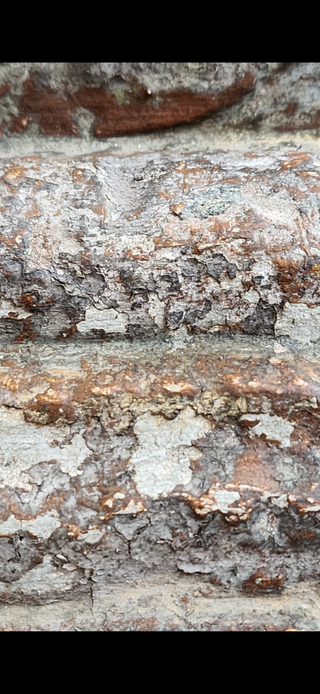 Get This Look: The Weathered Chapel Patina