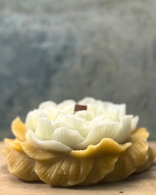 Bloom peony silicone mould cast in organic beeswax botanical candle cream and golden yellow by amy howard at home