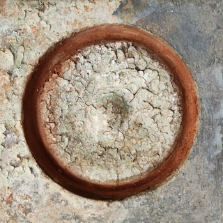 Create an authentically aged, European-inspired patina with the French Market Grody Finish. Learn how to layer cracked gesso, milk paint, pigment, and wax for antique urns and décor.