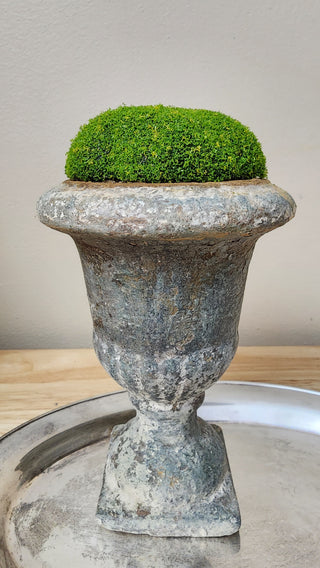 Create an authentically aged, European-inspired patina with the French Market Grody Finish. Learn how to layer cracked gesso, milk paint, pigment, and wax for antique urns and décor.