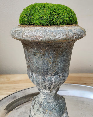 Get this Look: French Market Grody Finish Bundle (15% Off)