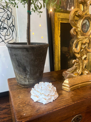 Peony Flower Silicone Mold | Amy Howard at Home