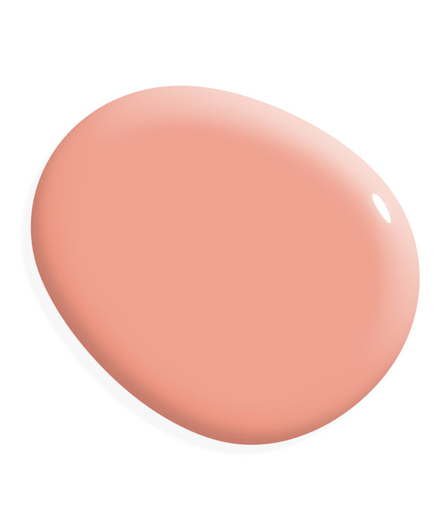 Miracle Paint - Coral (32 oz)