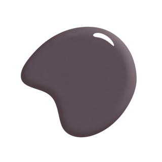 Manor Borne Curated Collection Wall Paint Kit