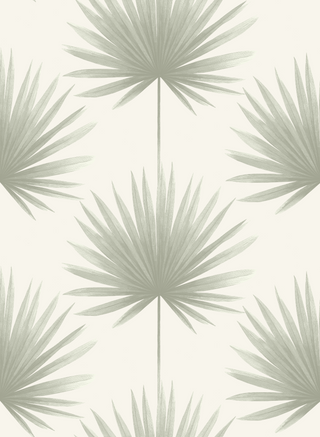 Palm Wallpaper - Sample Memo 8.5"x11"