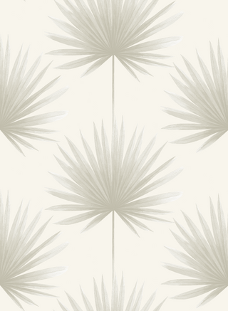 Palm Wallpaper - Sample Memo 8.5"x11"