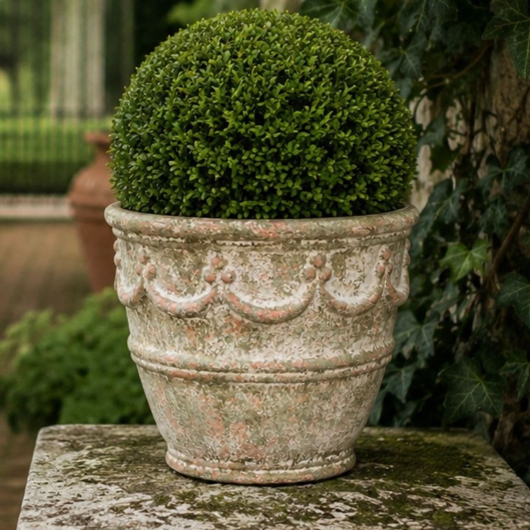 Sun-Faded Calais Patina Finish garden planter with soft limestone tones and faded coral undertones styled with a boxwood topiary on a weathered stone pedestal by Amy Howard At Home