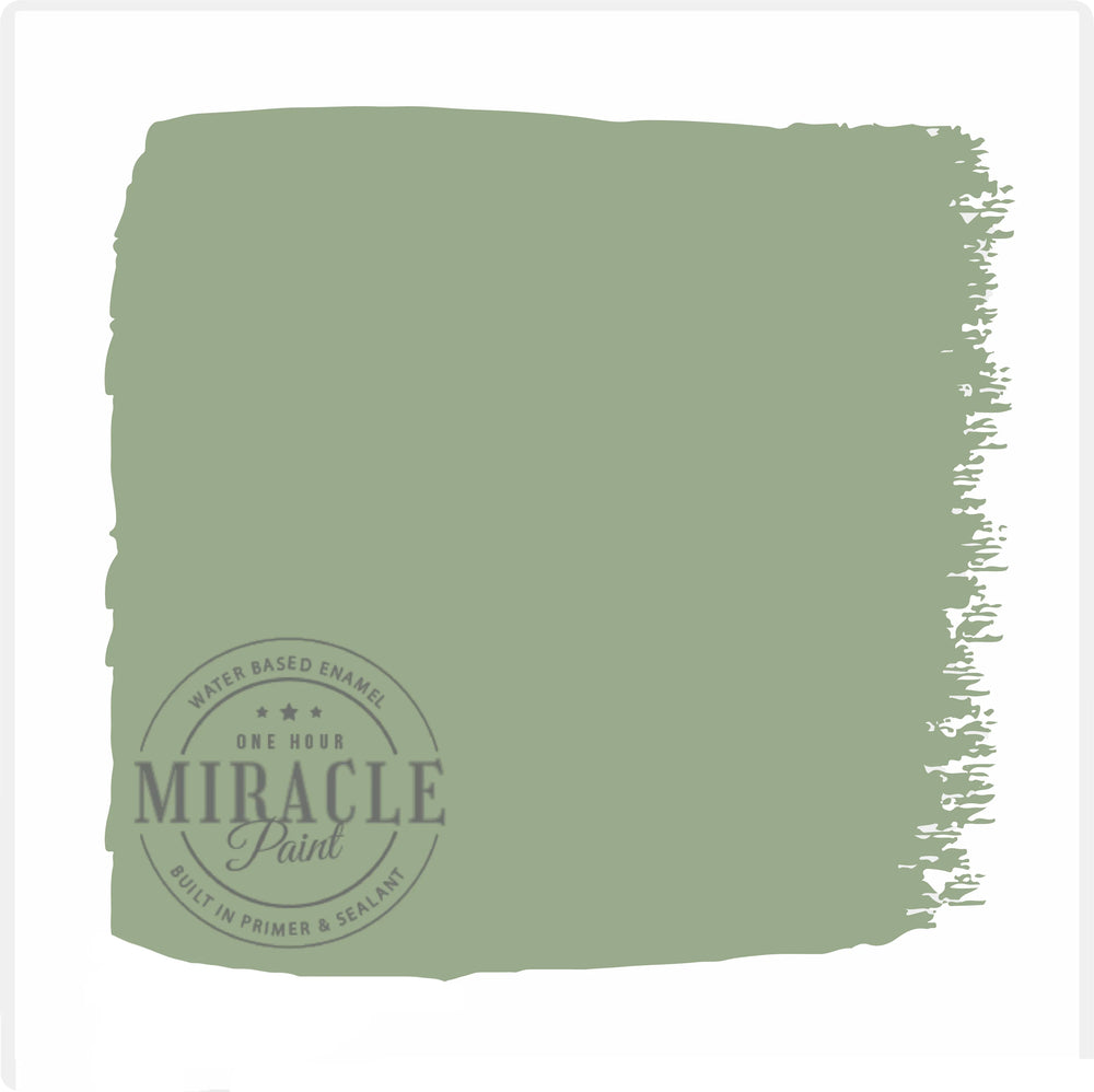 Miracle Paint Bundle