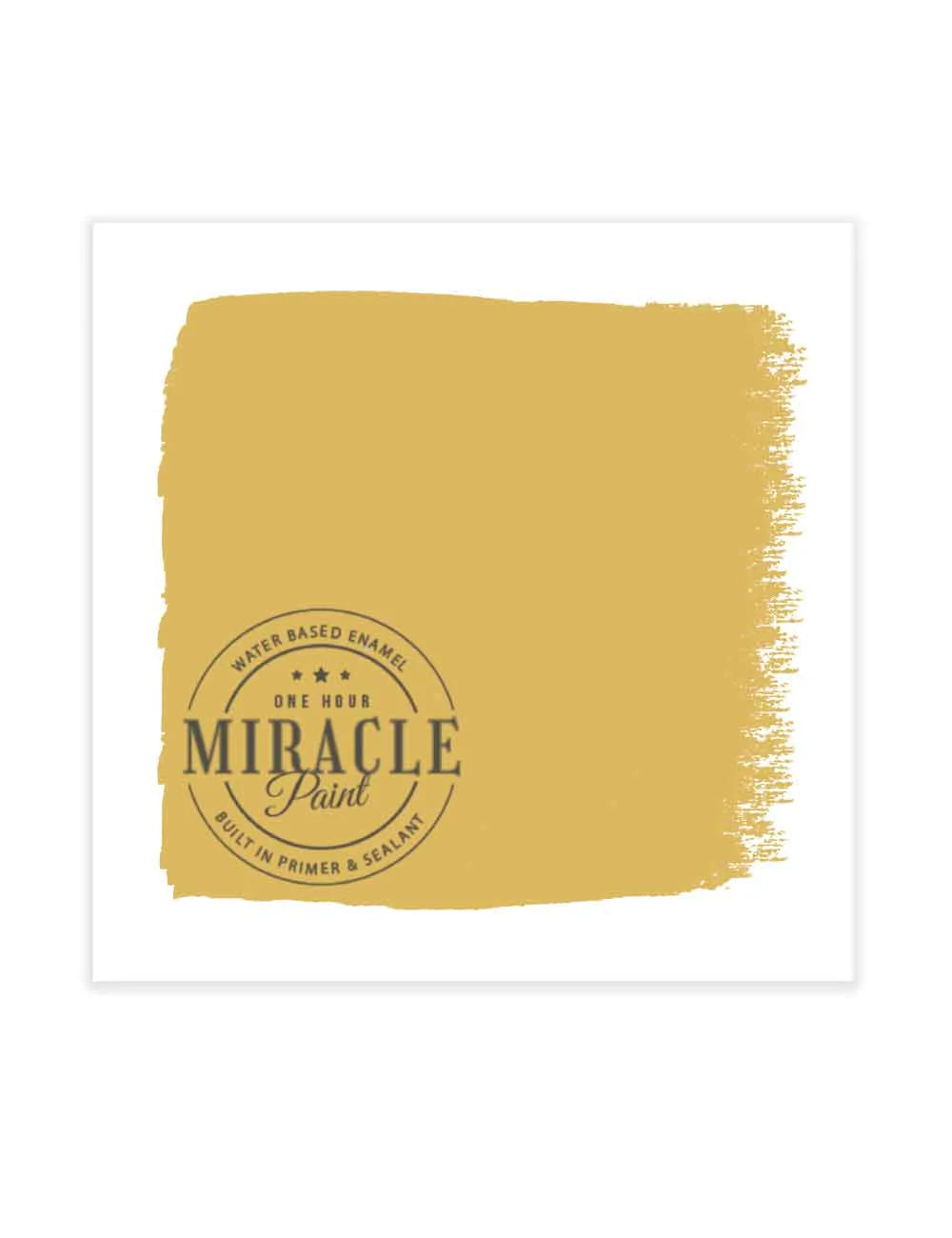 Miracle Paint Bundle