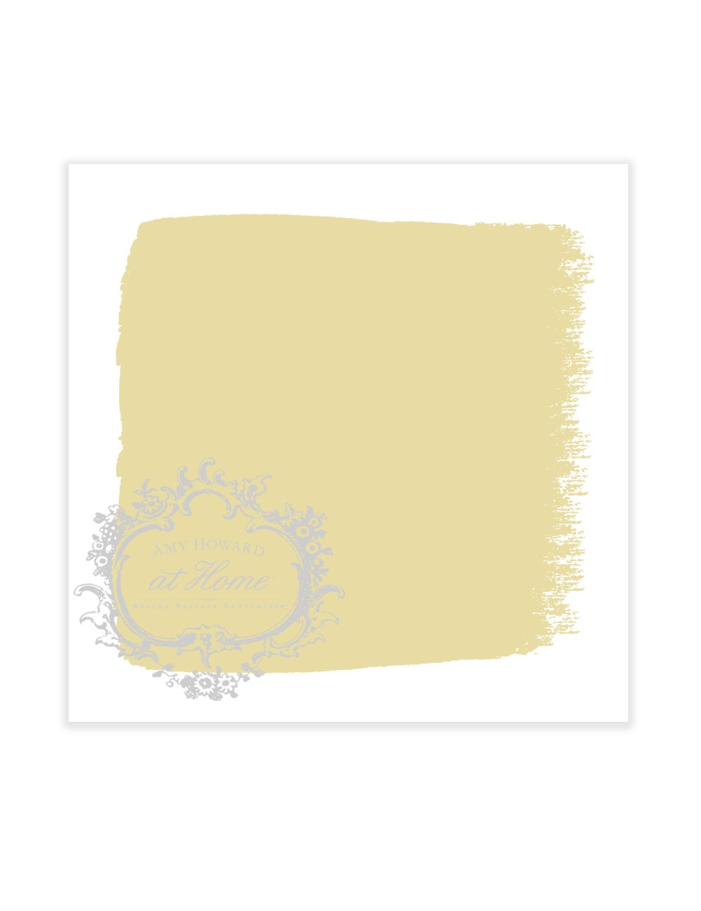 One Step Paint Beginner Bundle