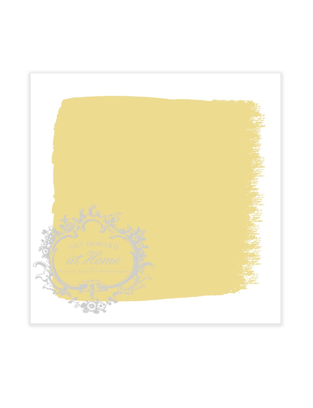 One Step Paint Beginner Bundle