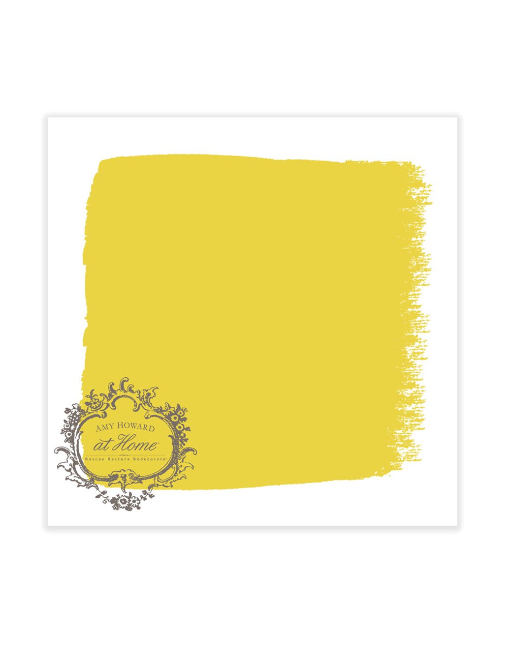 One Step Paint Beginner Bundle