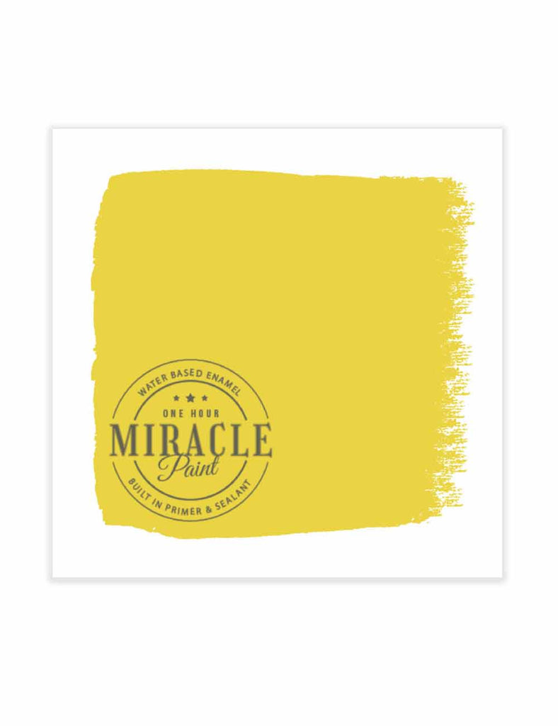 Sunshine On My Shoulders - One Hour Miracle Paint - 32oz